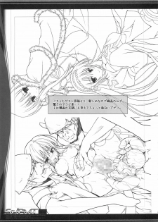 (C79) [Komedokoro (Yonekura Kihiro)] St/PMT (Ragnarok Online) - page 22