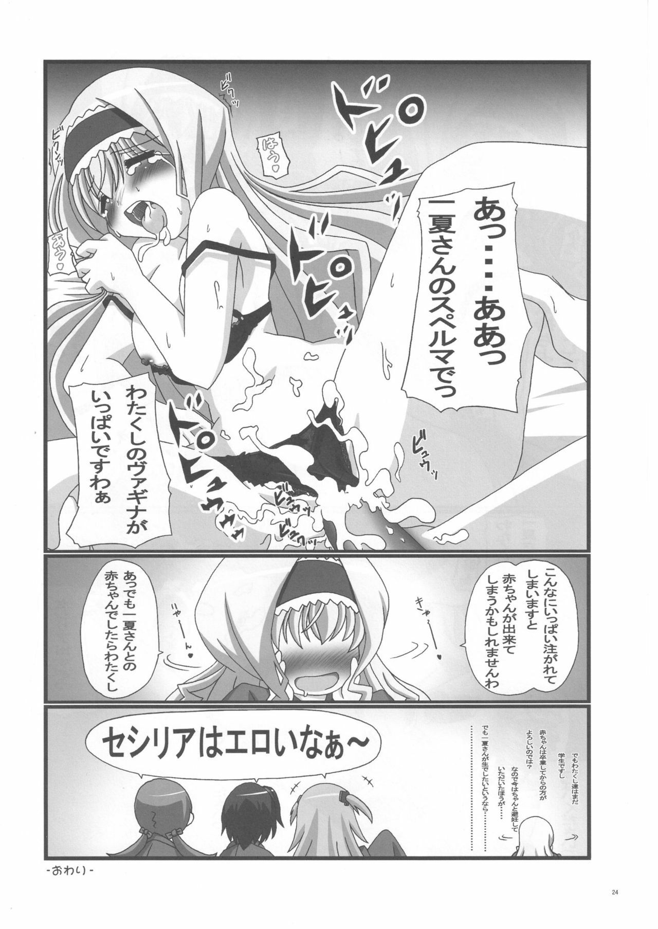 (ComiComi15) [C.R's NEST (C.R, Chouzetsu Yarou, Kebiishi)] Trinity Stratos (IS ) page 24 full