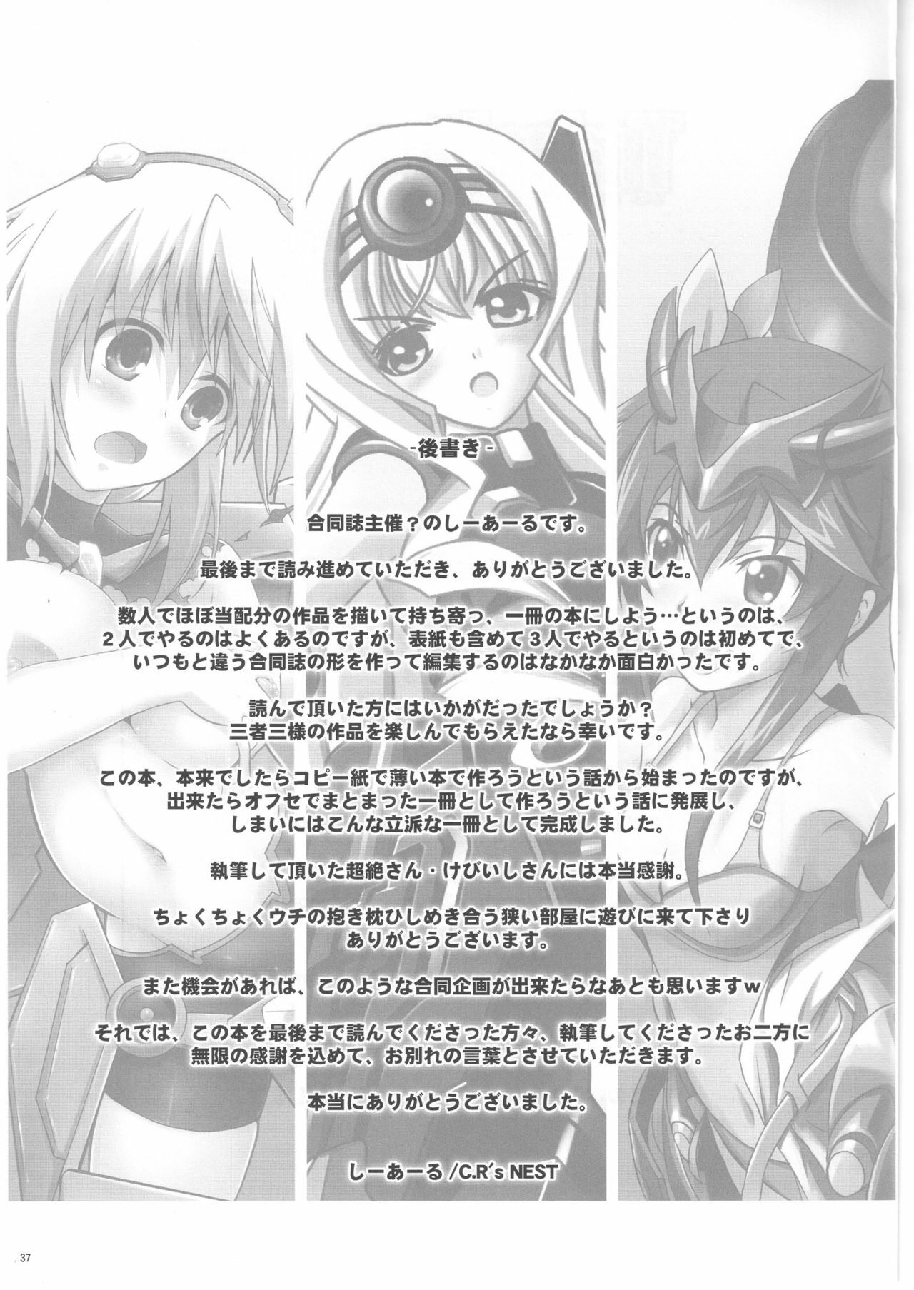 (ComiComi15) [C.R's NEST (C.R, Chouzetsu Yarou, Kebiishi)] Trinity Stratos (IS ) page 37 full