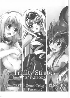 (ComiComi15) [C.R's NEST (C.R, Chouzetsu Yarou, Kebiishi)] Trinity Stratos (IS ) - page 3