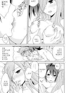 (C80) [Aerial Soul (Shiina)] Meshimase Miso Parfait (Tales of the Abyss) [Korean] [Team Arcana] - page 14