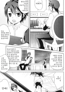 (C80) [Aerial Soul (Shiina)] Meshimase Miso Parfait (Tales of the Abyss) [Korean] [Team Arcana] - page 4