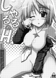 (SC51) [Mugen@WORKS (Akiduki Akina)] Charles no H! (IS Infinite Stratos) [Chinese] [空気系★汉化] - page 3