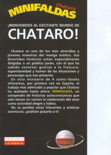 [Chataro] Minifaldas 1 de 4 (Spanish] - page 2