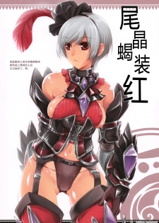 (C74) [Fujiya Honten (Thomas)] Sublime Equipment (Monster Hunter) [Chinese] [渣渣汉化组] - page 2