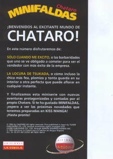 [Chataro] Minifaldas 4 de 4 (Spanish] - page 2