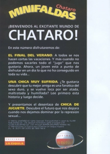 [Chataro] Minifaldas 3 de 4 (Spanish] - page 2