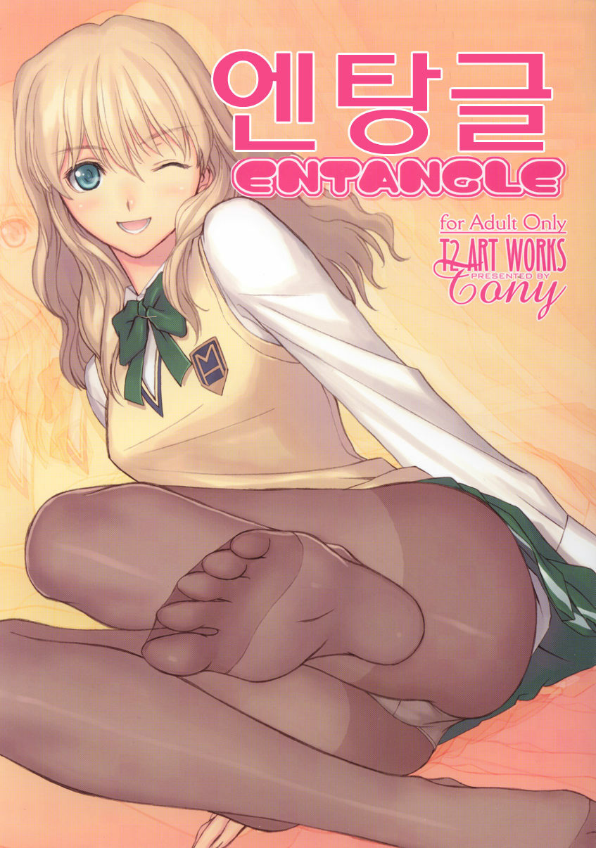 (C71) [T2 ART WORKS (Tony Taka)] Entangle (Zegapain) (korean) page 1 full