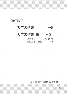 (C78) [MISAKIX MEGAMIX (Misakitou)] Tenkuu no Harayome (Dragon Quest V) - page 3
