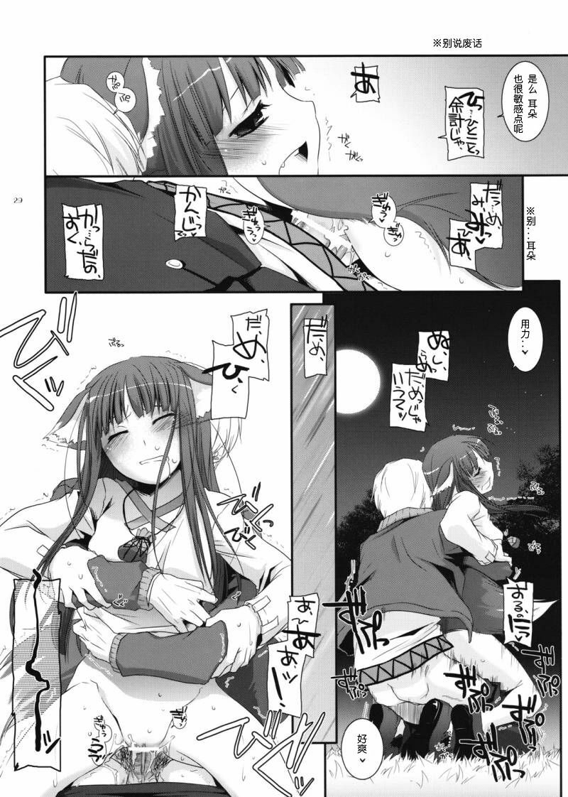 (COMIC1☆2) [Digital Lover (Nakajima Yuka)] D.L. action 43 (Spice and Wolf) [Chinese] [ACT-SJH汉化] page 28 full