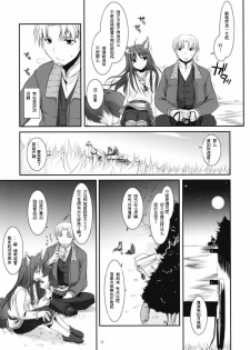 (COMIC1☆2) [Digital Lover (Nakajima Yuka)] D.L. action 43 (Spice and Wolf) [Chinese] [ACT-SJH汉化] - page 12