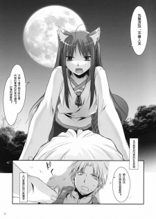 (COMIC1☆2) [Digital Lover (Nakajima Yuka)] D.L. action 43 (Spice and Wolf) [Chinese] [ACT-SJH汉化] - page 16