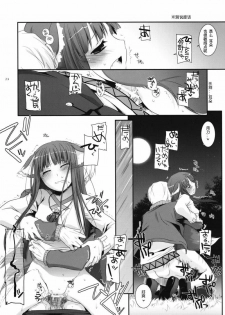 (COMIC1☆2) [Digital Lover (Nakajima Yuka)] D.L. action 43 (Spice and Wolf) [Chinese] [ACT-SJH汉化] - page 28