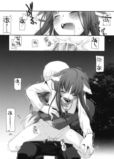 (COMIC1☆2) [Digital Lover (Nakajima Yuka)] D.L. action 43 (Spice and Wolf) [Chinese] [ACT-SJH汉化] - page 29