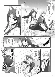 (COMIC1☆2) [Digital Lover (Nakajima Yuka)] D.L. action 43 (Spice and Wolf) [Chinese] [ACT-SJH汉化] - page 31