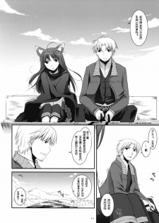 (COMIC1☆2) [Digital Lover (Nakajima Yuka)] D.L. action 43 (Spice and Wolf) [Chinese] [ACT-SJH汉化] - page 5