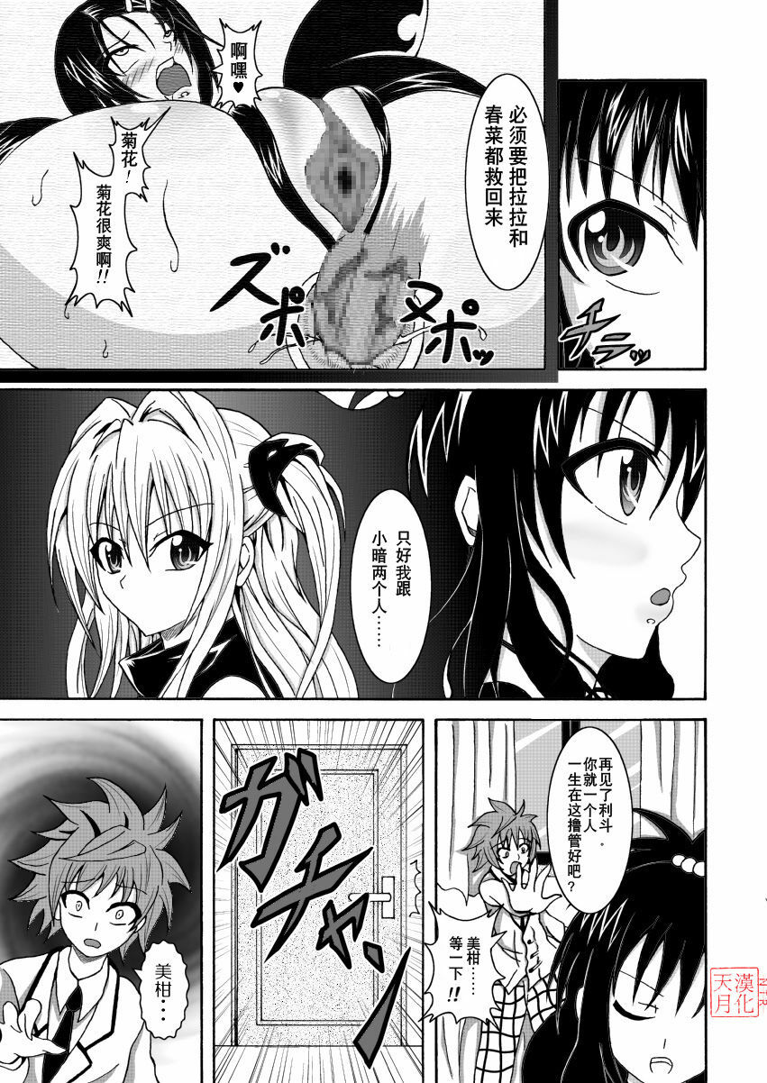 [Bitch Bokujou (Bokujou Nushi K)] To LOVE-Hi (To LOVE-Ru) [Chinese] [天月NTR汉化組] page 30 full