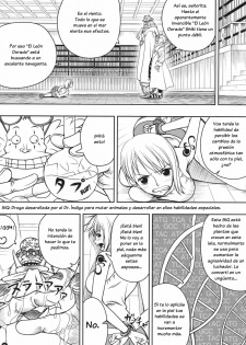 (C78) [Mikenekodou (Muten)] INSTINCT WORLD (One Piece) [Spanish] {El nido del Cóndor} - page 4