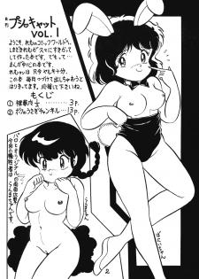 Nemuisidarui (Ranma 1/2) - page 2