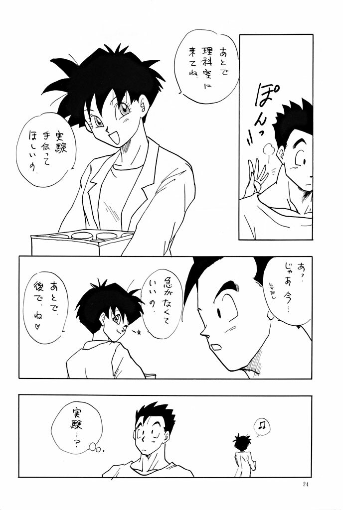 (C47) [Chirigami Goya, Fusuma Goten (Shouji Haruzo)] YY (Dragon Ball Z) page 24 full