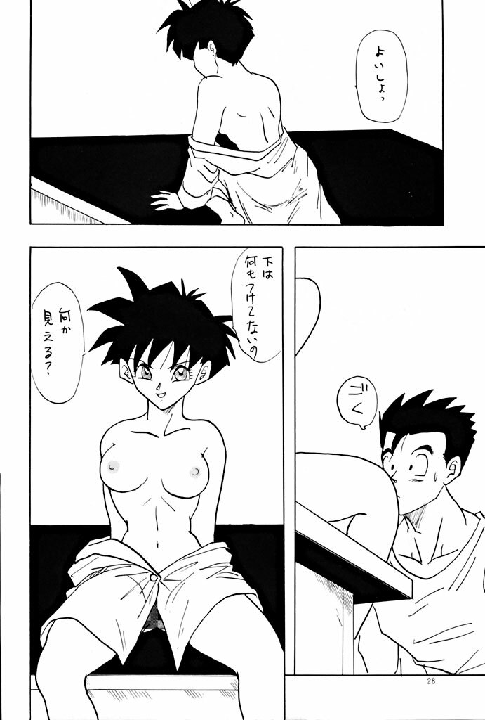 (C47) [Chirigami Goya, Fusuma Goten (Shouji Haruzo)] YY (Dragon Ball Z) page 28 full