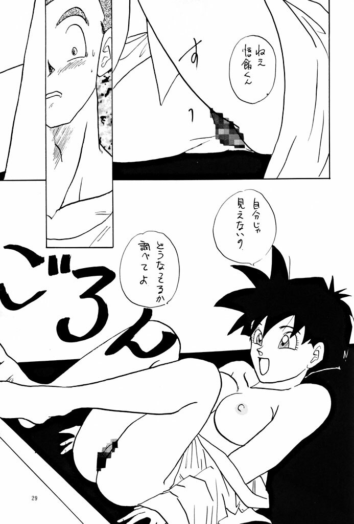 (C47) [Chirigami Goya, Fusuma Goten (Shouji Haruzo)] YY (Dragon Ball Z) page 29 full