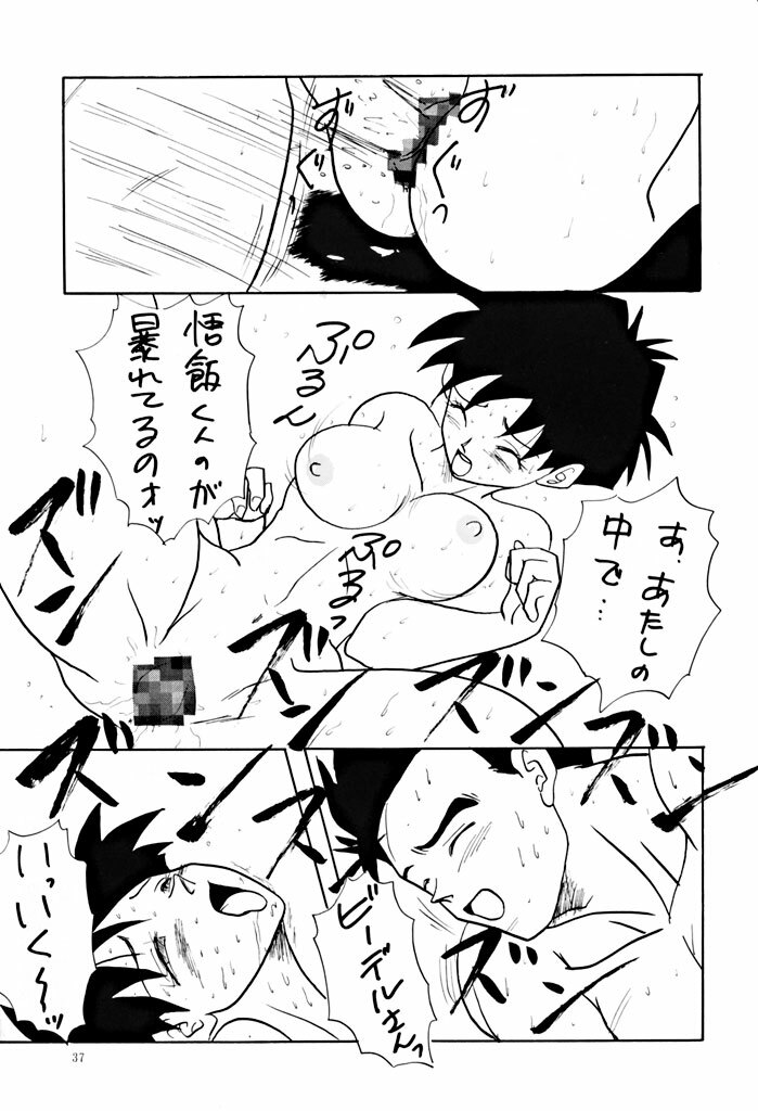 (C47) [Chirigami Goya, Fusuma Goten (Shouji Haruzo)] YY (Dragon Ball Z) page 37 full