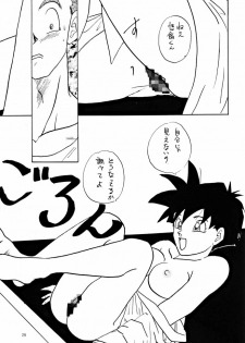 (C47) [Chirigami Goya, Fusuma Goten (Shouji Haruzo)] YY (Dragon Ball Z) - page 29