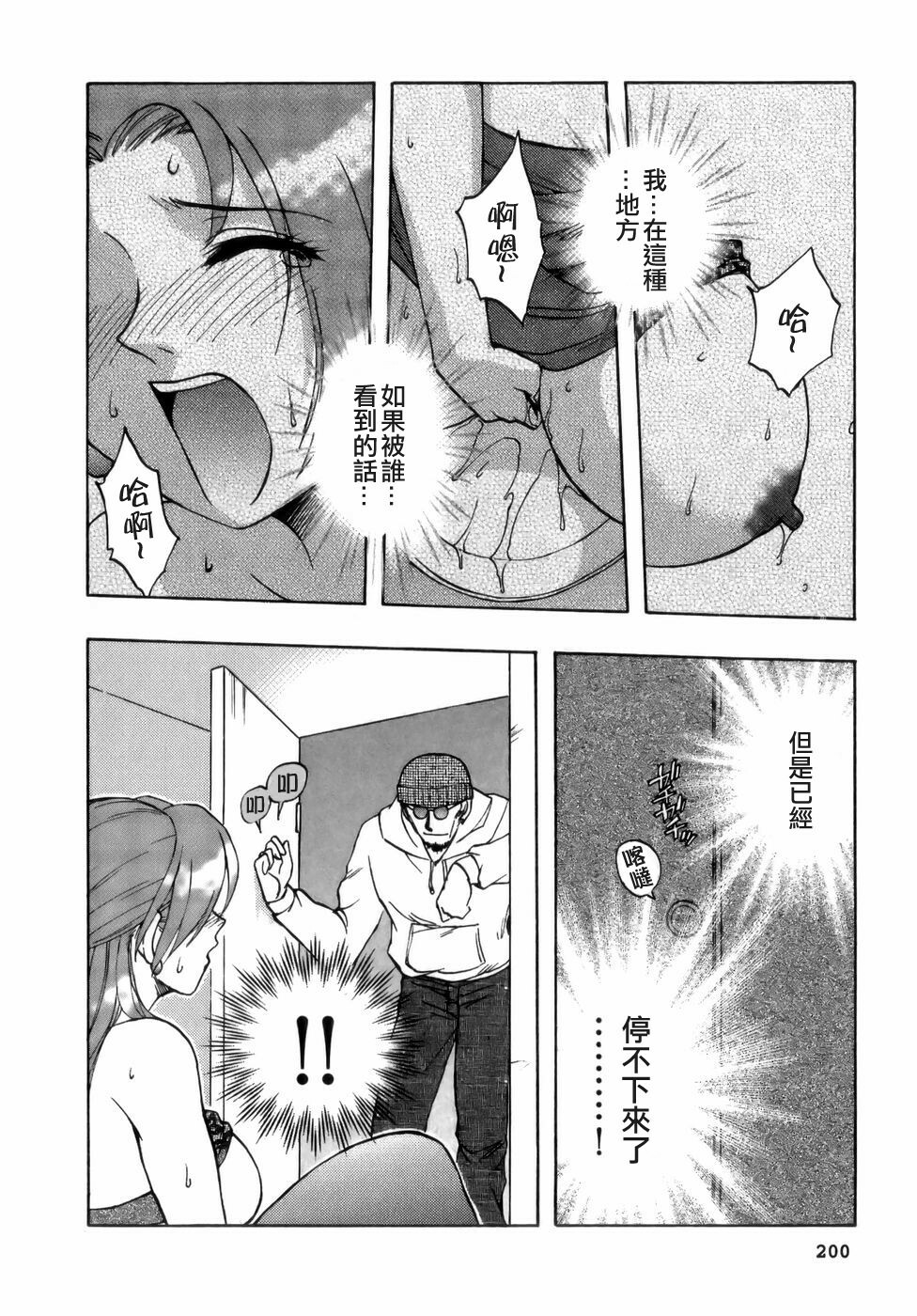 [Maeda Sengoku] Mrs. Link [Chinese] [貪狼閣漢化工作室] page 202 full