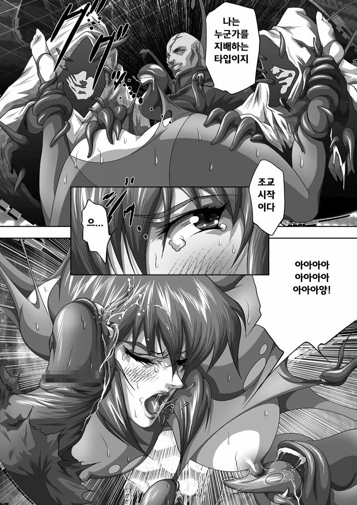 [Akiyama Kougyou (Mikazuki Shikou)] Dennou Bichiku (Ghost in the Shell)(korean)(Bigking) page 11 full