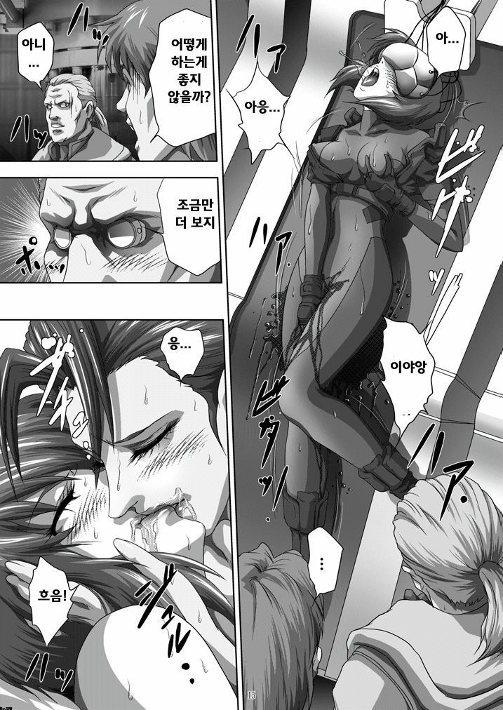 [Akiyama Kougyou (Mikazuki Shikou)] Dennou Bichiku (Ghost in the Shell)(korean)(Bigking) page 14 full