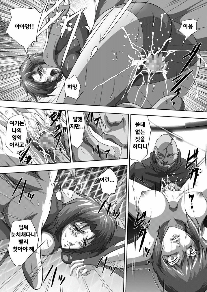[Akiyama Kougyou (Mikazuki Shikou)] Dennou Bichiku (Ghost in the Shell)(korean)(Bigking) page 18 full