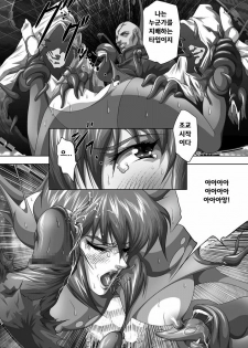 [Akiyama Kougyou (Mikazuki Shikou)] Dennou Bichiku (Ghost in the Shell)(korean)(Bigking) - page 11