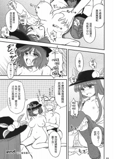 (C74) [Rengeza (Inui Nui)] Skyscraper (Touhou Project) [Chinese] [Nice漢化] - page 28
