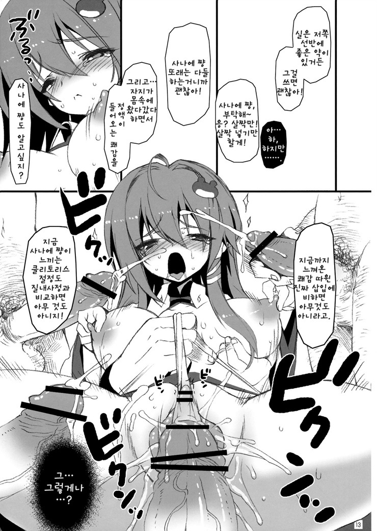 (Reitaisai 6) [super:nova (Yukimachi Tounosuke)] Yume Miru Kusuri 1 (Touhou Project) [Korean] [Team DCMYS] page 12 full