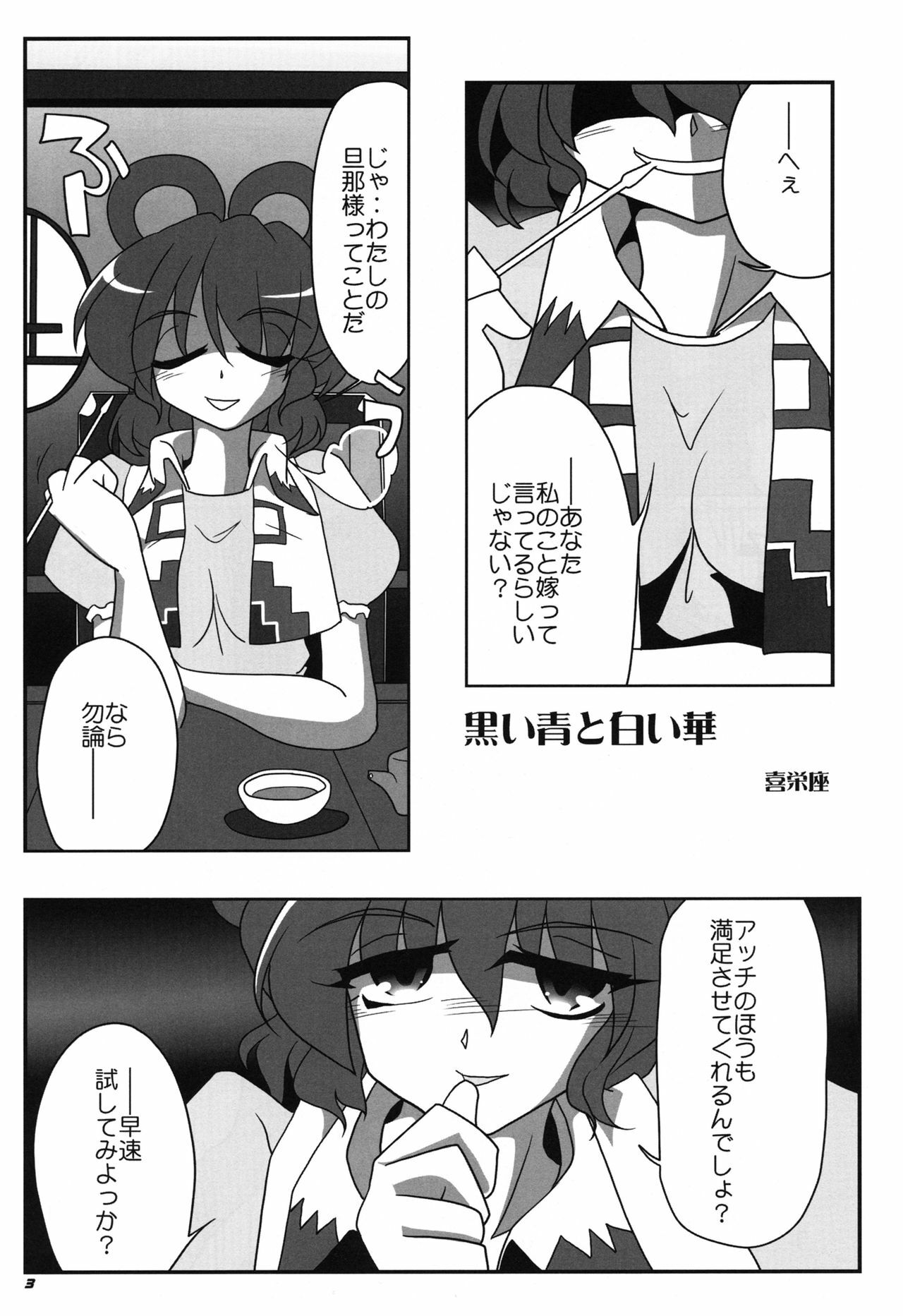 (Reitaisai SP2) [Kieyza cmp (Kieyza)] TOHO N+ sei-ka (Touhou Project) page 5 full