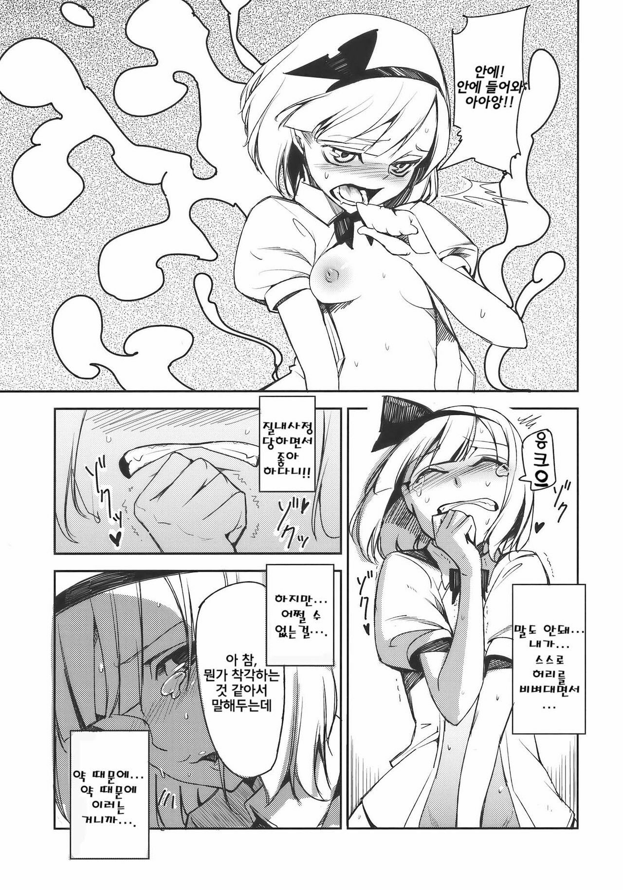 (Reitaisai 7) [Shironegiya (miya9)] Myon na Otsukai | 묘옹한 심부름 (Touhou Project) [Korean] [팀☆면갤] page 16 full