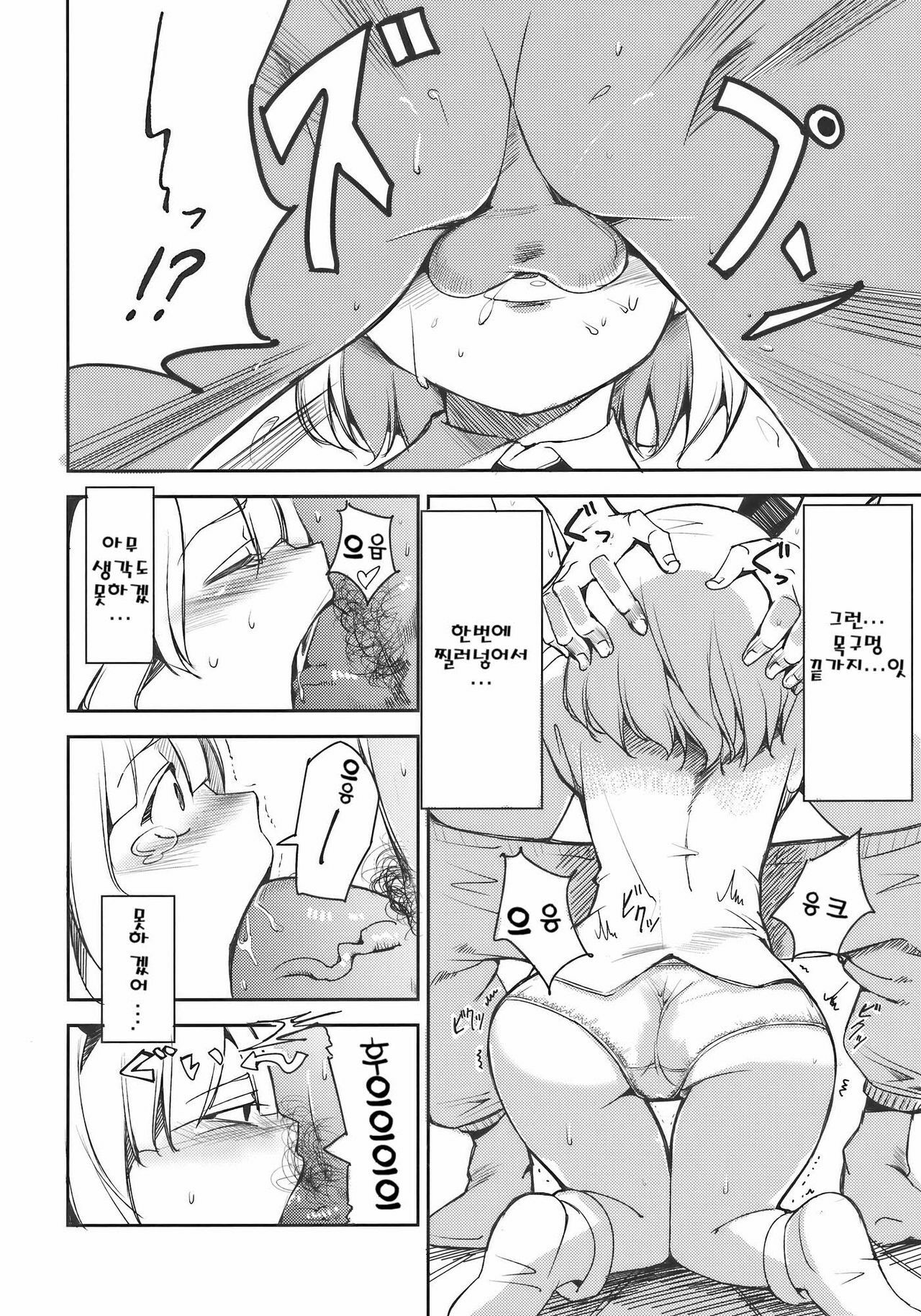 (Reitaisai 7) [Shironegiya (miya9)] Myon na Otsukai | 묘옹한 심부름 (Touhou Project) [Korean] [팀☆면갤] page 9 full