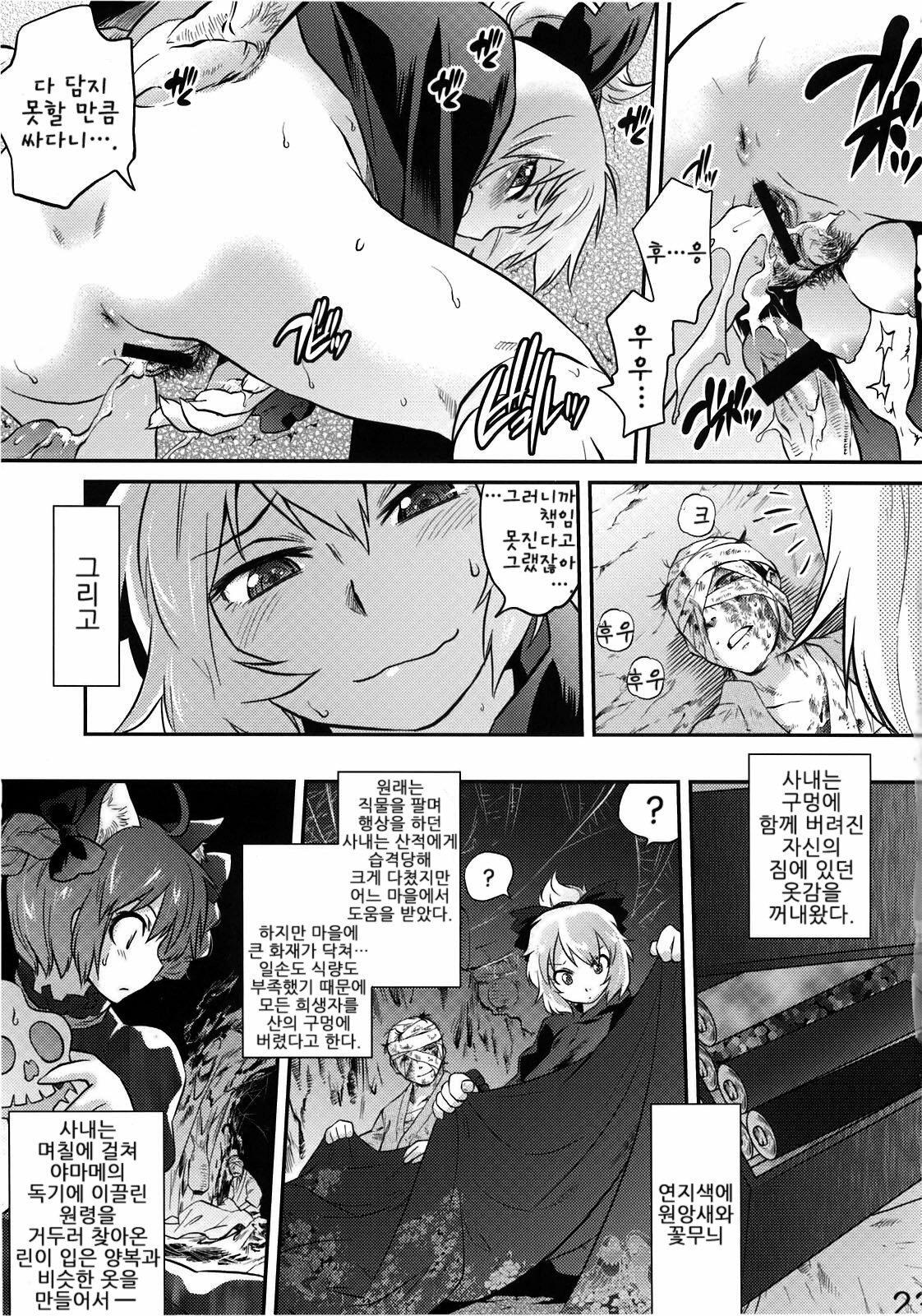 (C78) [RapidRabbit (Tomotsuka Haruomi)] Byoujo no Sho | 병녀의 서 (Touhou Project) [Korean] [팀☆면갤] page 21 full