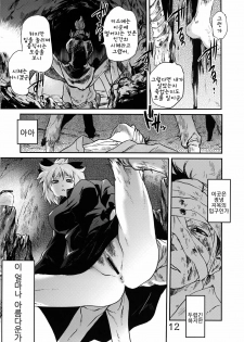 (C78) [RapidRabbit (Tomotsuka Haruomi)] Byoujo no Sho | 병녀의 서 (Touhou Project) [Korean] [팀☆면갤] - page 10