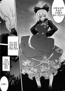 (C78) [RapidRabbit (Tomotsuka Haruomi)] Byoujo no Sho | 병녀의 서 (Touhou Project) [Korean] [팀☆면갤] - page 23