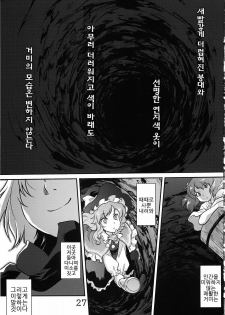 (C78) [RapidRabbit (Tomotsuka Haruomi)] Byoujo no Sho | 병녀의 서 (Touhou Project) [Korean] [팀☆면갤] - page 25