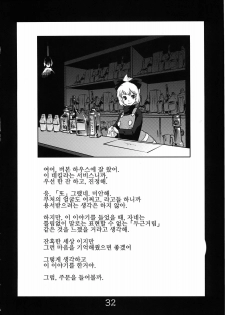 (C78) [RapidRabbit (Tomotsuka Haruomi)] Byoujo no Sho | 병녀의 서 (Touhou Project) [Korean] [팀☆면갤] - page 30