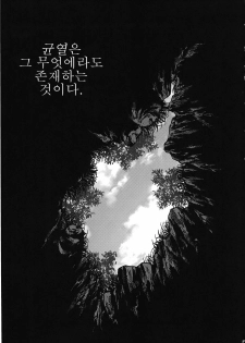 (C78) [RapidRabbit (Tomotsuka Haruomi)] Byoujo no Sho | 병녀의 서 (Touhou Project) [Korean] [팀☆면갤] - page 3