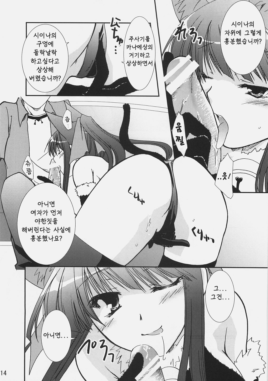 (C72) [CHAGASHI SAIBAN (Yamabuki Mook)] Aisai (Double Sensei Life) [Korean] page 13 full