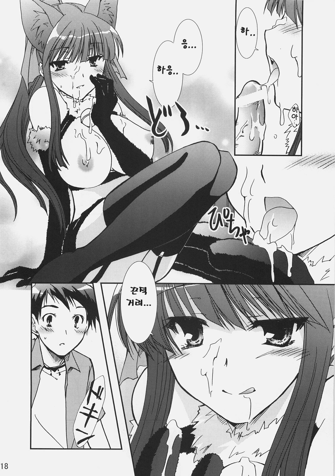 (C72) [CHAGASHI SAIBAN (Yamabuki Mook)] Aisai (Double Sensei Life) [Korean] page 17 full