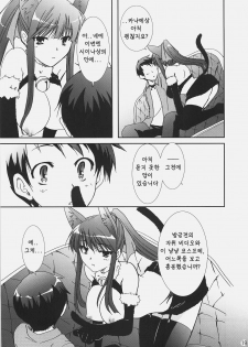 (C72) [CHAGASHI SAIBAN (Yamabuki Mook)] Aisai (Double Sensei Life) [Korean] - page 18