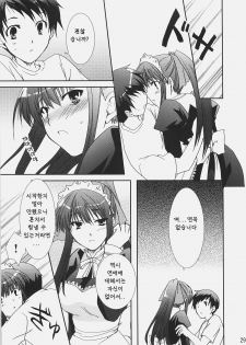 (C72) [CHAGASHI SAIBAN (Yamabuki Mook)] Aisai (Double Sensei Life) [Korean] - page 28