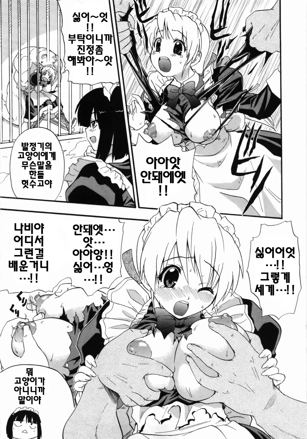 [Kikkawa Kabao] Kanzen Oppai Sengen | 완전 가슴 선언 [Korean] [팀☆면갤] page 19 full