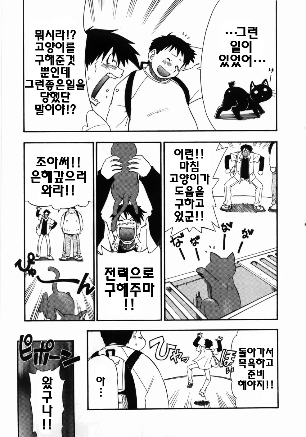 [Kikkawa Kabao] Kanzen Oppai Sengen | 완전 가슴 선언 [Korean] [팀☆면갤] page 95 full